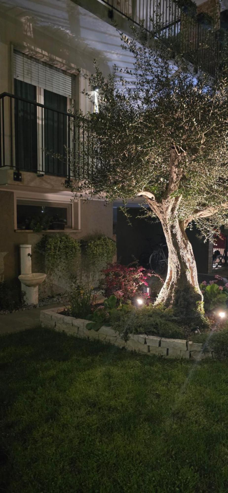 Ca' Olivo Villa Mogliano Veneto Dış mekan fotoğraf
